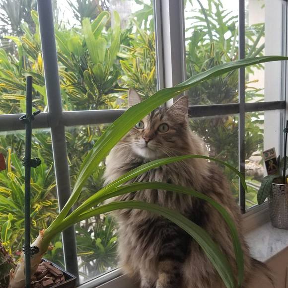 Meet your Posher, Claudia - Picture 1 of 1